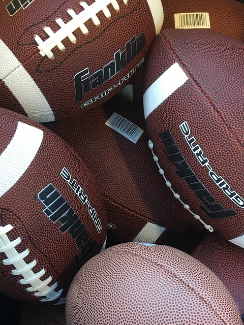 寻培养未来 寻培养未来