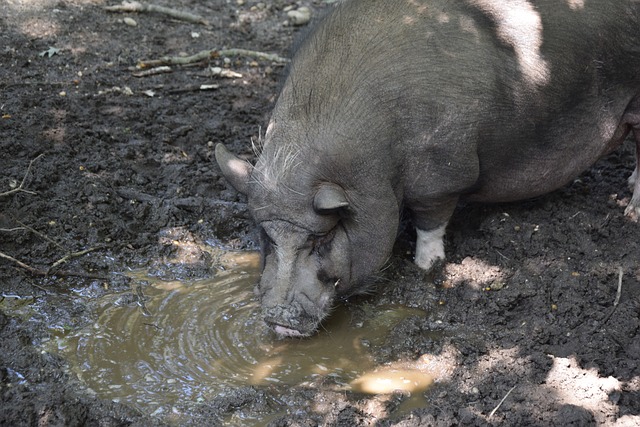 个典型的例 个典型的例