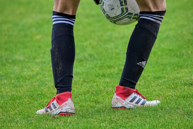 的最大因素 的最大因素