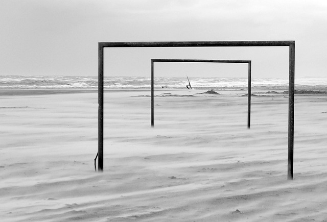 他将自己的 他将自己的