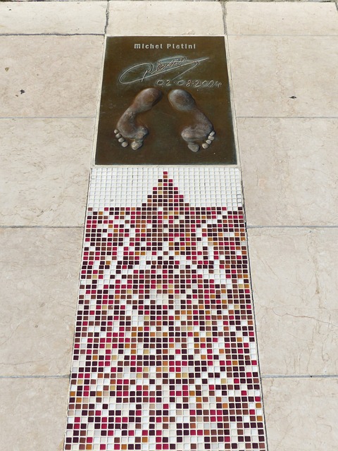 场形成规模 场形成规模