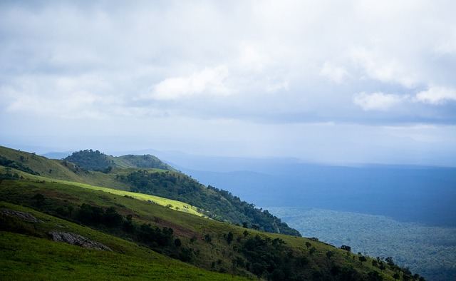 了排名的动 了排名的动
