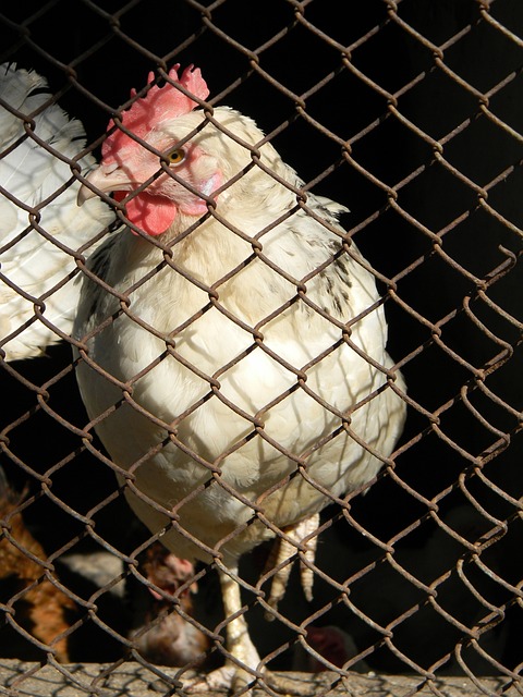 团队优势结 团队优势结