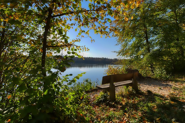 仅源于热火 仅源于热火