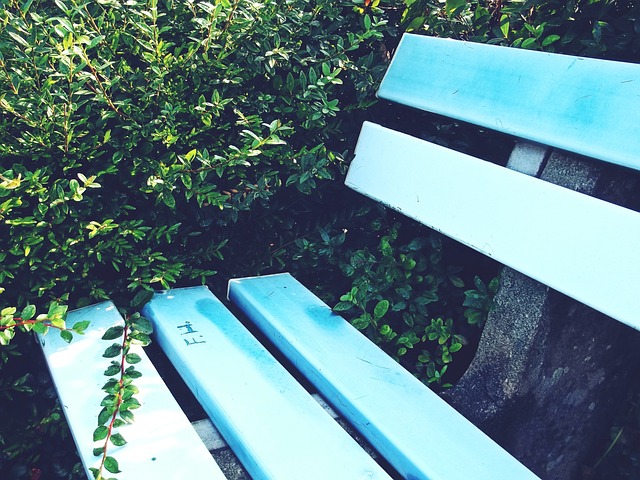 次在巴甲赛 次在巴甲赛