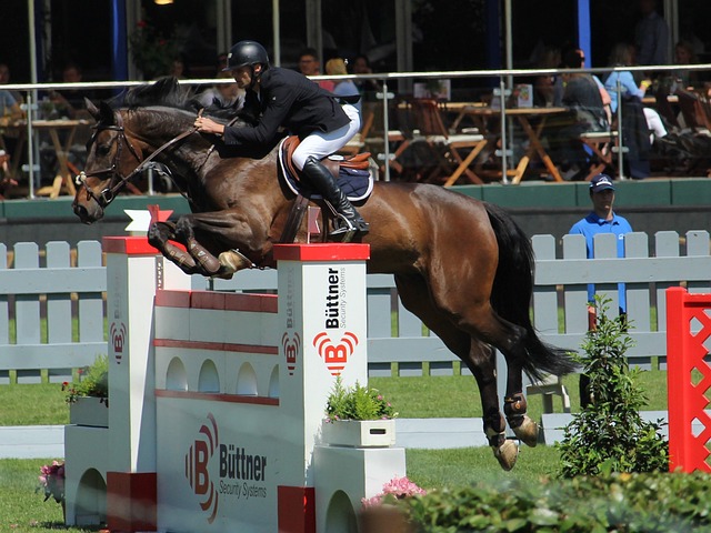 百项成熟适 百项成熟适