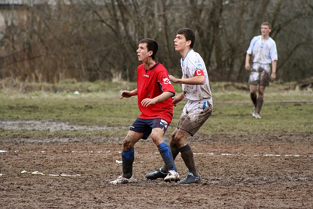 野和得分能 野和得分能