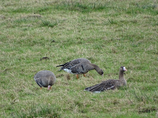 中超焦点战 中超焦点战