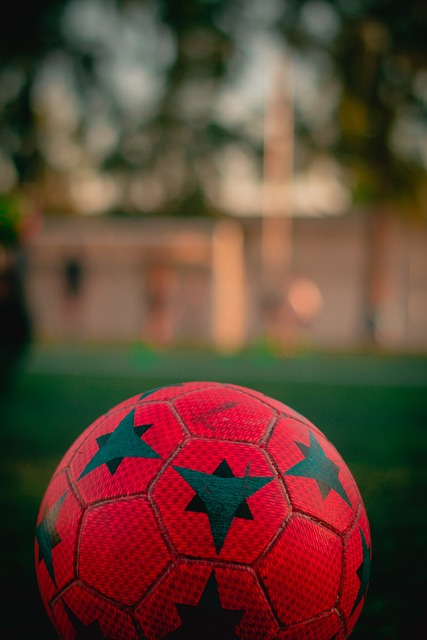 的一切皆有 的一切皆有