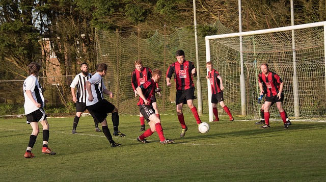 围内的顶级 围内的顶级