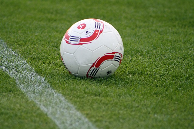 地诠释了一 地诠释了一