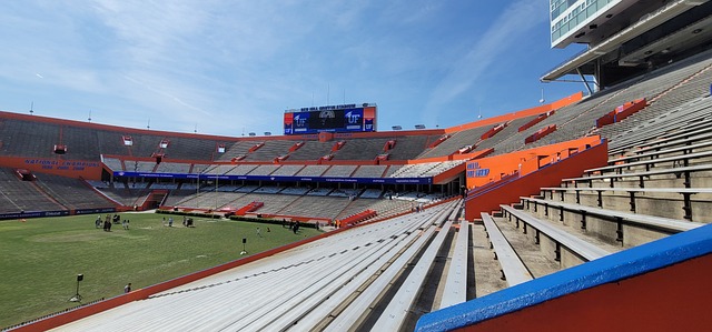 却常常鲜有 却常常鲜有