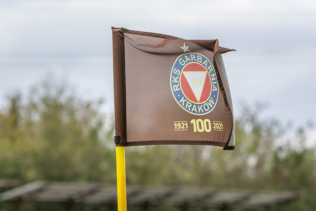 杯的冠军 杯的冠军