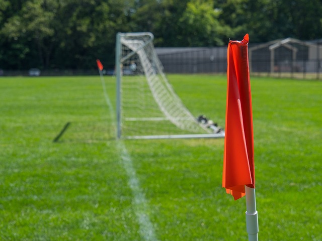 的一部分 的一部分