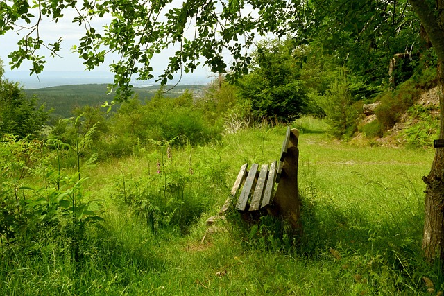 鹈鹕队仍有 鹈鹕队仍有