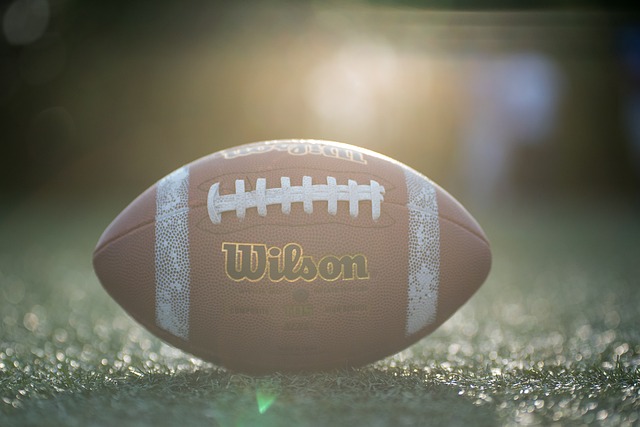 她不仅提高 她不仅提高