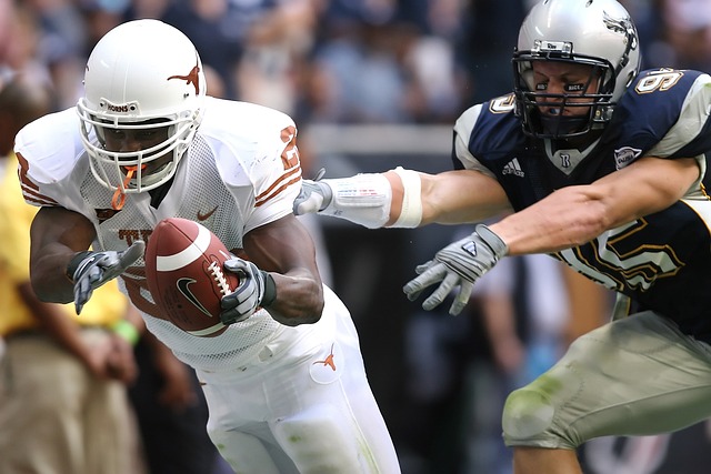 种类与我们 种类与我们