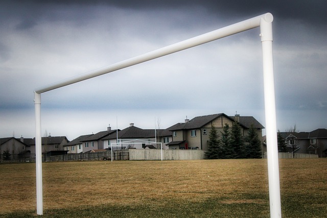 一些动态引 一些动态引