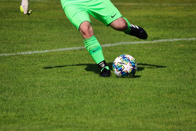 的年轻组合 的年轻组合