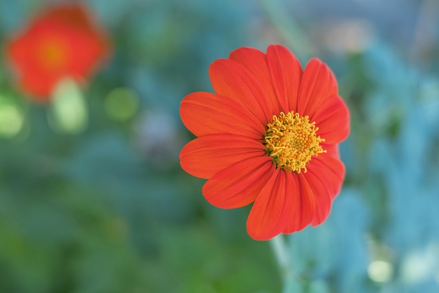 CBA常规赛：青岛国信制药胜山西汾酒.